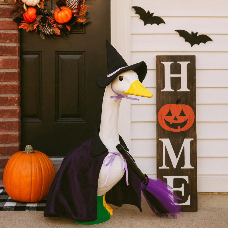 Halloween New Product Porchgoose Porch Goose Christmas Purple Velvet Cape Witch Broom Pet Dog