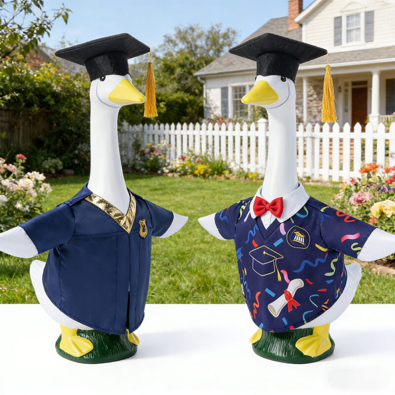 New Graduation Season Porch Goose Costume, Fun Academic Gown and Hat Set