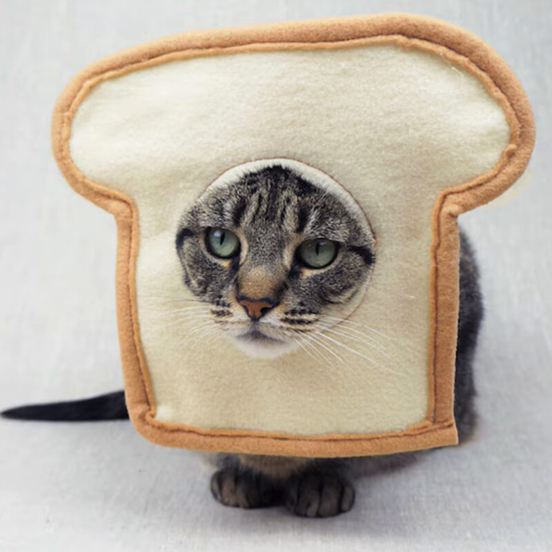 Quirky Pet Hats, Cat and Dog Photo Props, Toast Bread-Shaped Headgear, Pet Rabbit Headgear