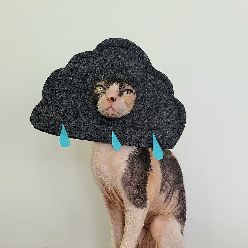 Creative Cute Cloud-Shaped Cat Hat Pet Clothing Detachable Dog Headgear Pin