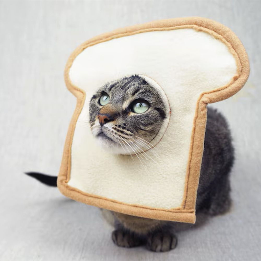 Quirky Pet Hats, Cat and Dog Photo Props, Toast Bread-Shaped Headgear, Pet Rabbit Headgear - Image 2