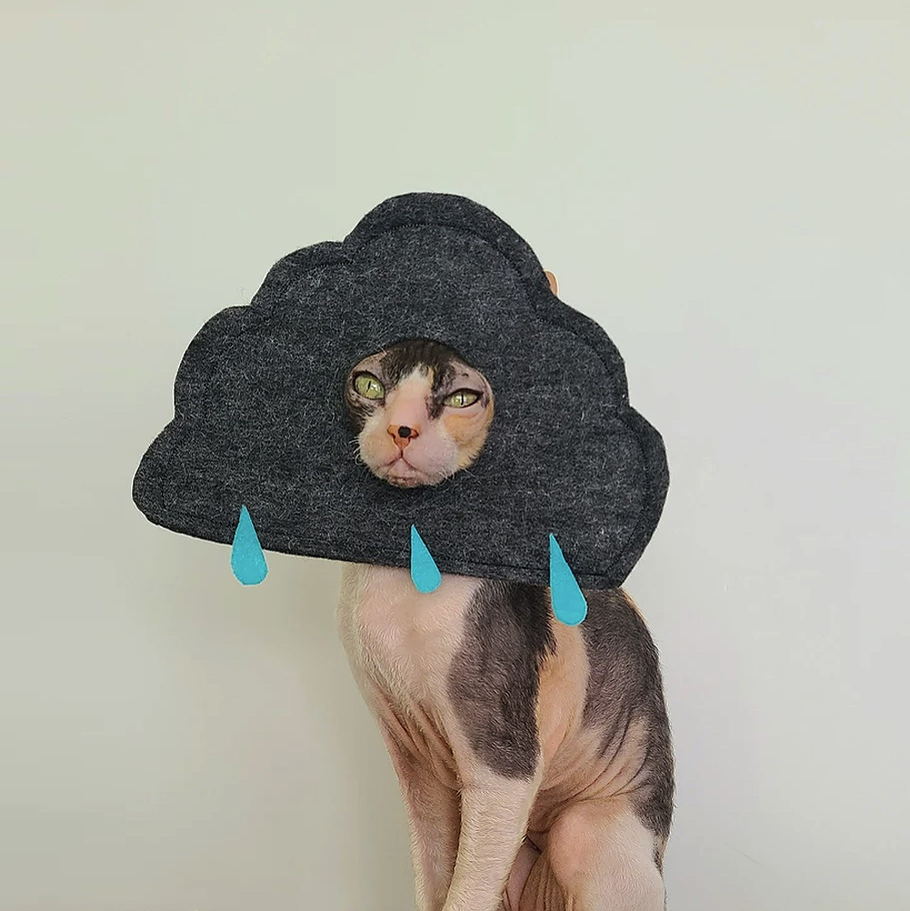 Creative Cute Cloud-Shaped Cat Hat Pet Clothing Detachable Dog Headgear Pin - Image 2