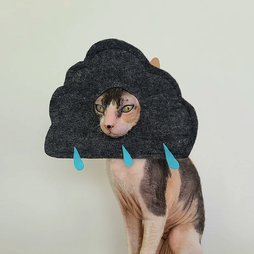 Creative Cute Cloud-Shaped Cat Hat Pet Clothing Detachable Dog Headgear Pin - Image 3