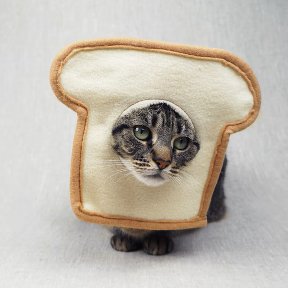 Quirky Pet Hats, Cat and Dog Photo Props, Toast Bread-Shaped Headgear, Pet Rabbit Headgear - Image 4