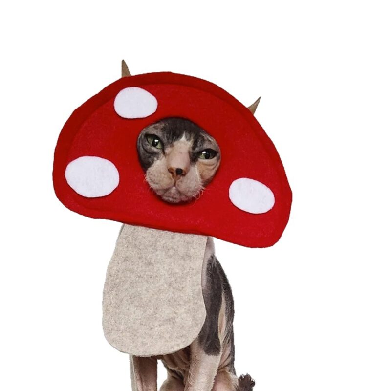 Pet Clothing, Funny Cat Headgear, Mushroom-Shaped Photo Props for Dogs, Devon Cat Headgear