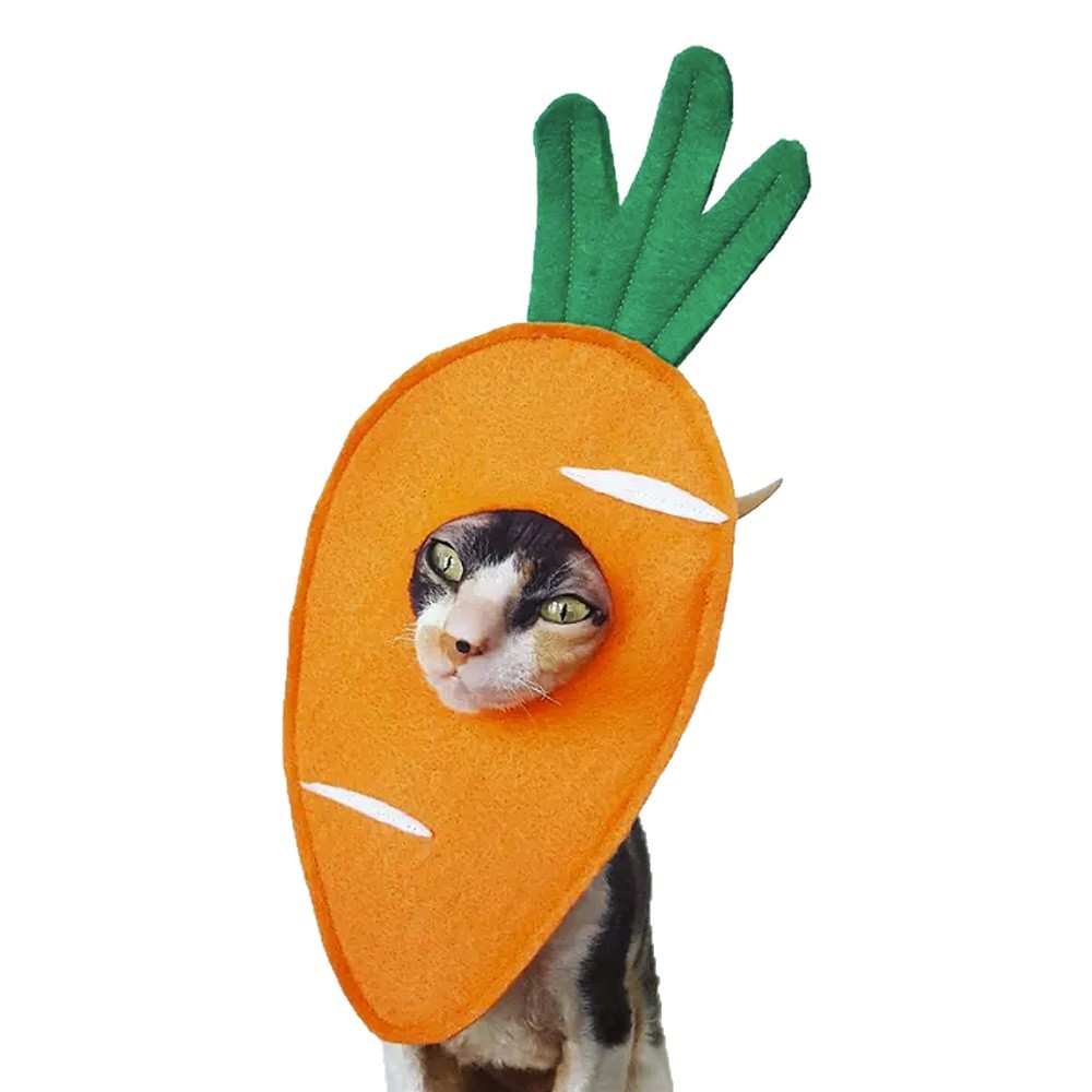 Aliexpress Quirky Felt Pet Hats Creative Carrot Dog Clothes Cute Cat Headwear for Photos