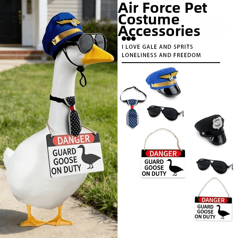 Porch Goose Sign, Goose Air Force Hat, Glasses, Warning Guard Goose, Warning Sign, Yard Porch Lawn Decoration
