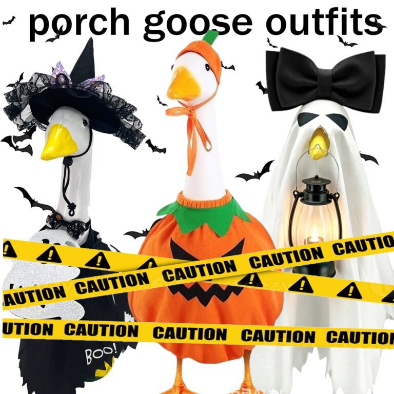 Porch Goose Outfits & Clothes for all Seasons | Hilarious Attire for ...