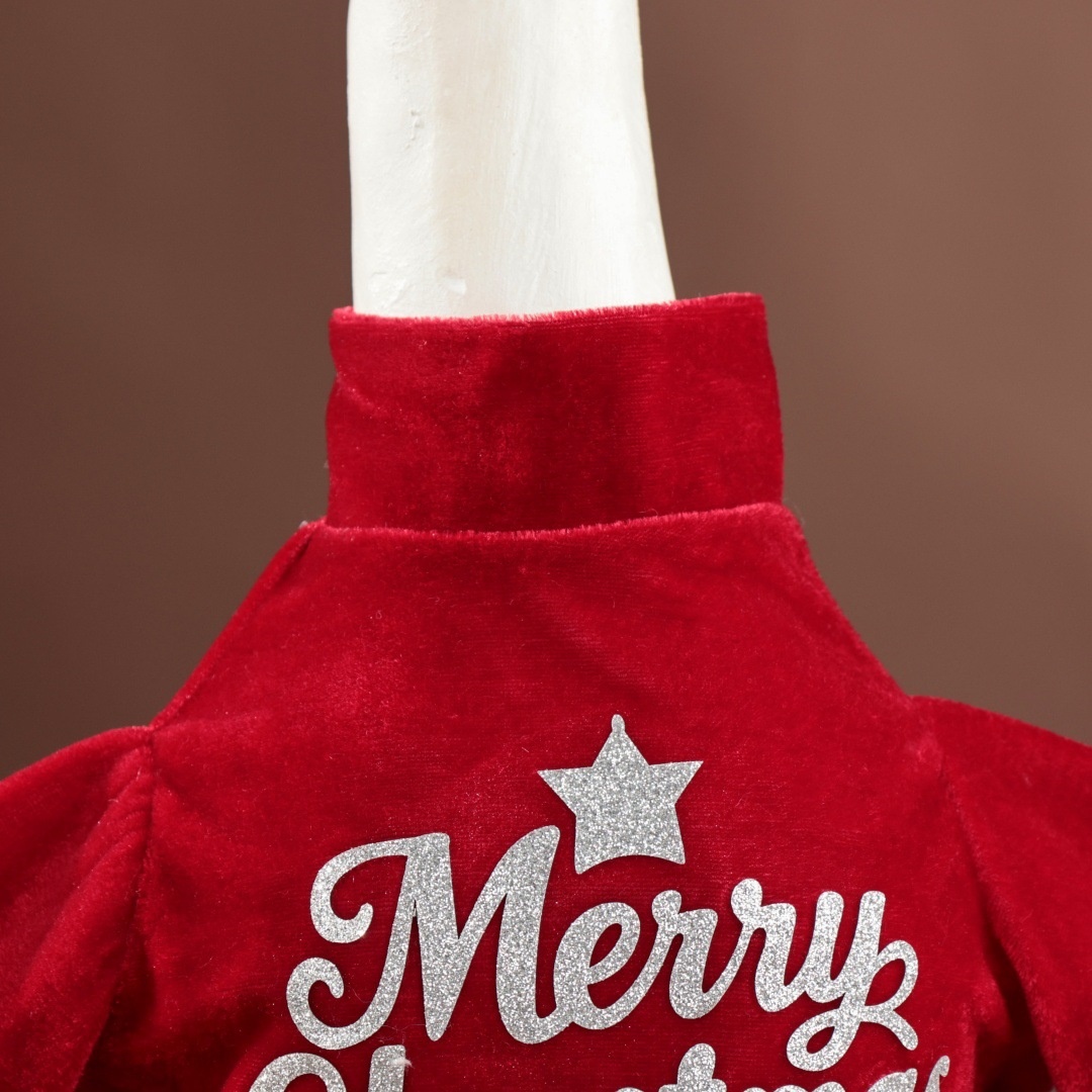 Christmas Santa Porch Goose Outfit, Holiday Costume for 17 & 23 Inch Simulated White Goose Ornament - Image 4